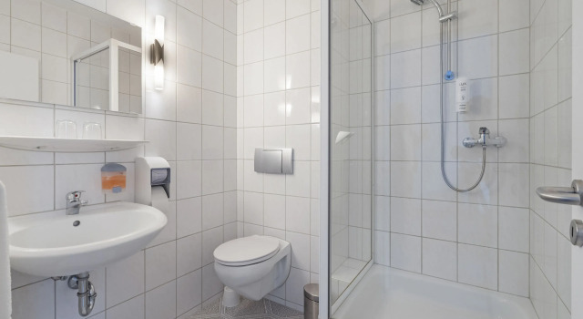 Трёхместный номер Standard Hotel Imota