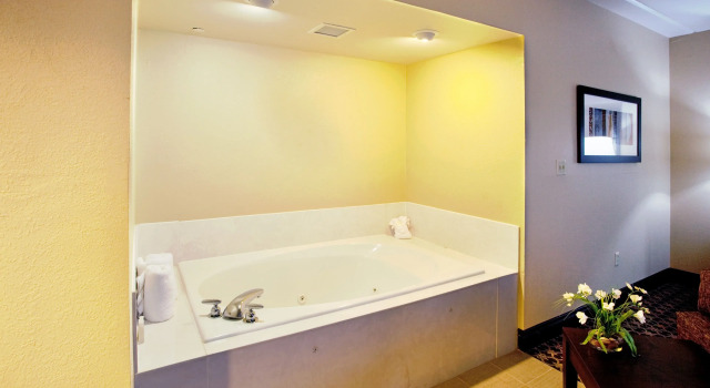 Двухместный люкс Fairfield Inn & Suites by Marriott Columbia Downtown