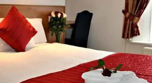 Номер Standard Maple Hotel