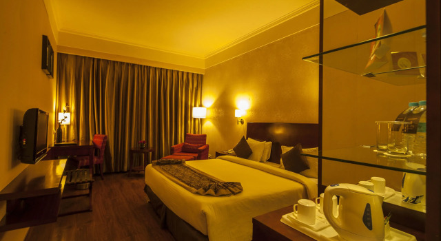 Номер Deluxe Vesta Maurya Palace