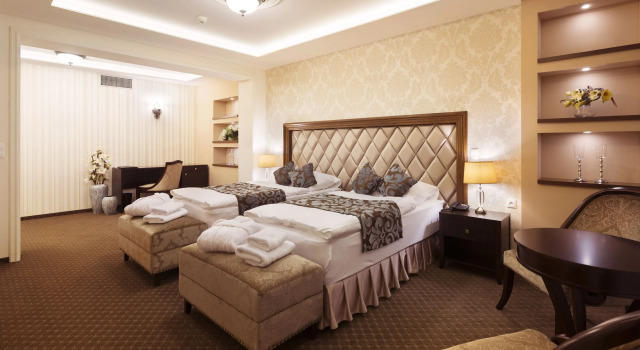 Двухместный номер Standard Hotel Dvorana