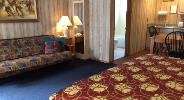 Номер Premium Saddle & Surrey Motel