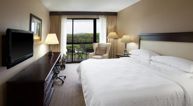 Двухместный клубный номер Standard с балконом и с видом на сад Sheraton Chapel Hill