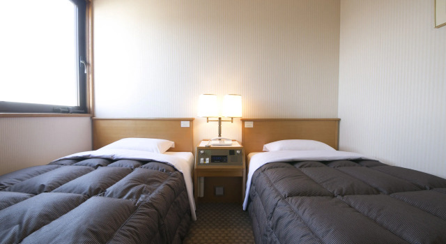 Двухместный номер Standard Gifu Washington Hotel Plaza