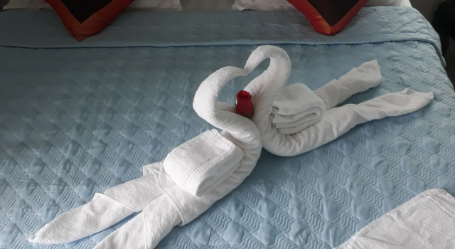 Двухместный номер Standard с видом на сад Tamcoc White Swan Hostel