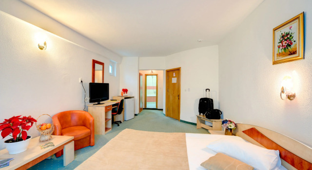 Номер Standard Hotel Cornul Vanatorului