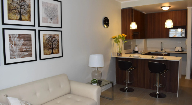 Апартаменты Premium Apartamentos Don Ambrosio Las Condes