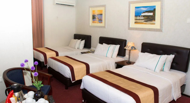 Трёхместный номер Superior Hotel Vistaria