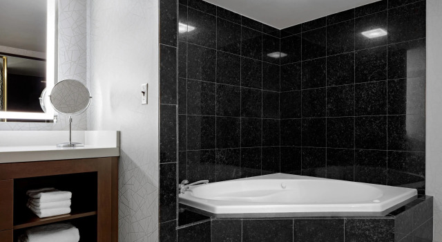 Люкс Presidential Sheraton Syracuse University Hotel and Conference Center