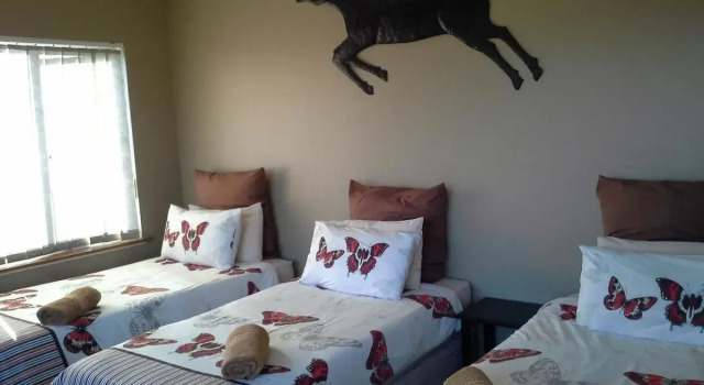 Номер Standard Acquila Guest House