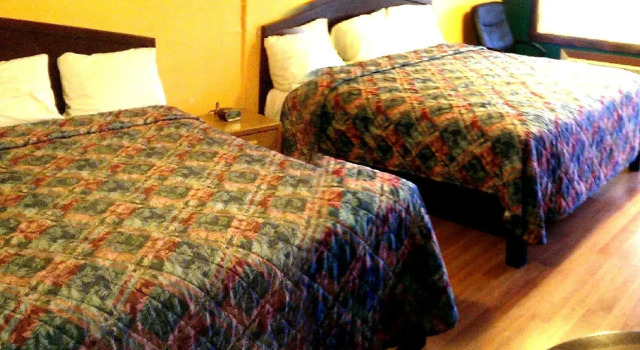 Deluxe værelse City Center Inn Provo