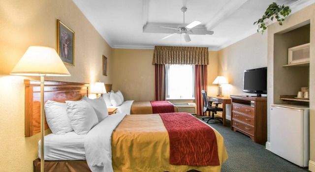 Четырёхместный номер Standard SAMIR Stay at NW Expressway