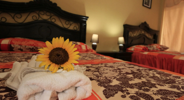Номер Standard El Delfin Hotel y Restaurante
