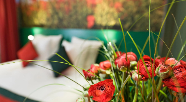 Номер Standard Jardins de Montmartre