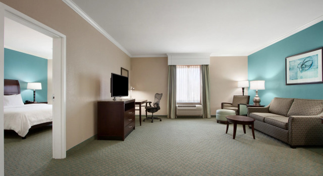 Люкс Hilton Garden Inn Tyler
