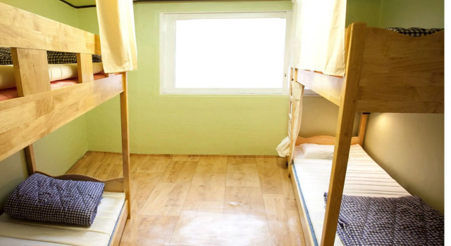 Cama en dormitorio compartido (dormitorio compartido femenino) Bunk Backpackers Guesthouse
