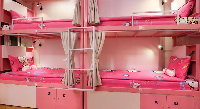 Кровать в общем номере (женский номер) Hanoi High Five hostel