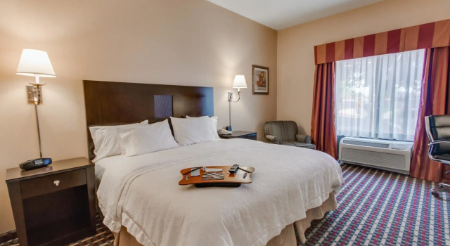 Двухместный номер Deluxe Hampton Inn & Suites Las Cruces I-25