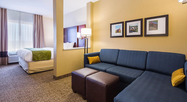 Двухместный люкс Comfort Suites Piedmont - Greenville South