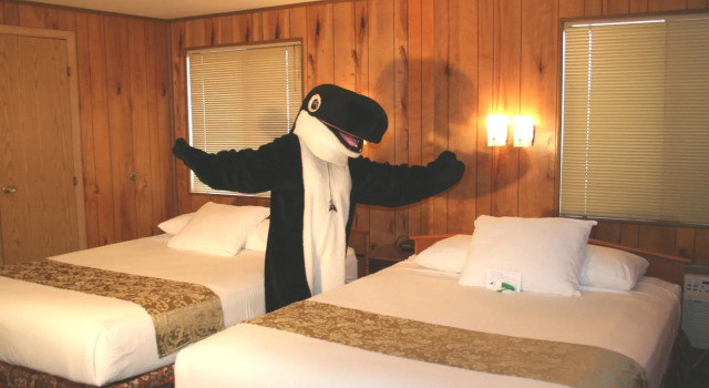 Четырёхместный номер Standard The Orca Inn