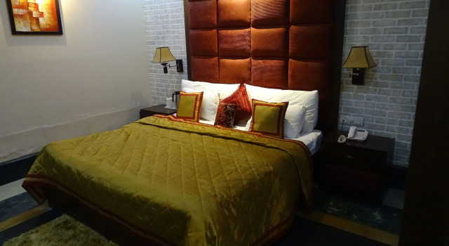 Двухместный номер Executive Hotel Diplomat Residency