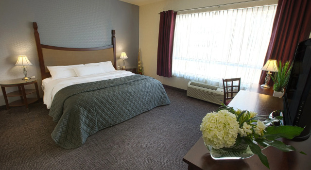 Номер Prestige Hotel Universel