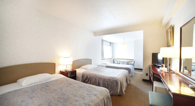 Трёхместный номер Standard Narita Airport Rest House