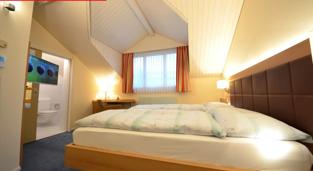 Двухместный номер Comfort Hotel Felmis