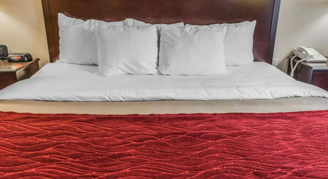 Двухместный номер Standard Wingate by Wyndham Pittsburgh West Mifflin