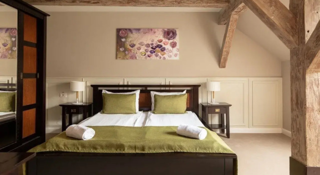 Двухместный номер Standard Мансарда Hirscher Loft