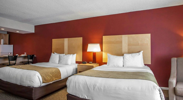 Люкс Comfort Suites Michigan Avenue