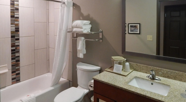 Четырёхместный номер Standard Comfort Inn & Suites Las Cruces Mesilla