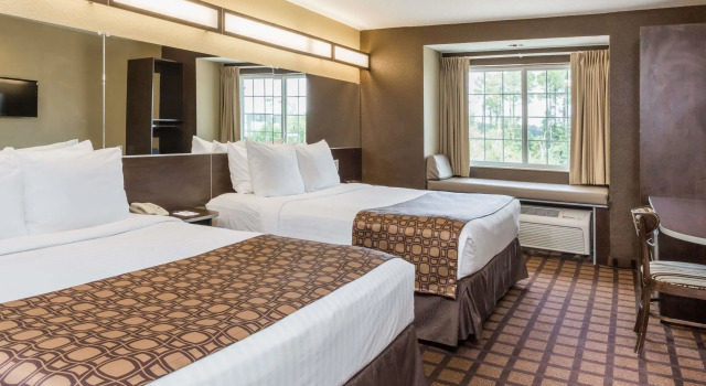 Четырёхместный номер Standard Microtel Inn & Suites by Wyndham Jacksonville Airport