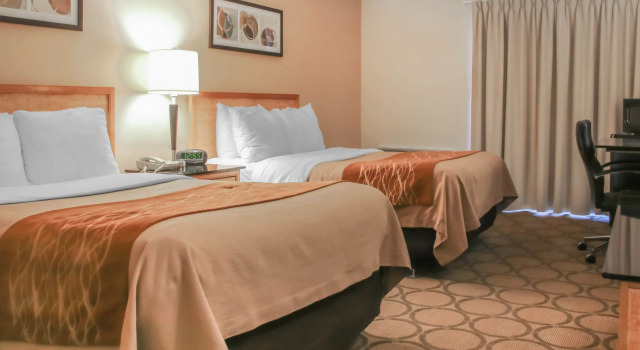 Четырёхместный номер Standard Comfort Inn Regina East