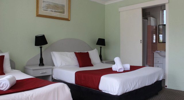 Двухместный номер Standard High Mountains Motor Inn