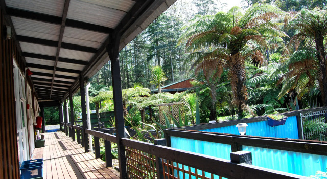 Номер Standard Woodlands Motel