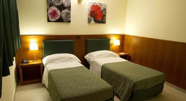 Двухместный номер Standard Hotel Continental