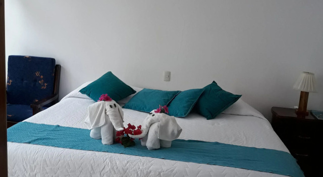 Номер Standard Gran Hostal Tintorera