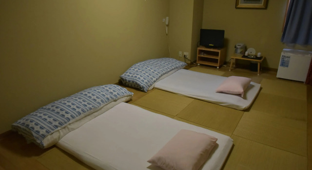 Двухместный номер Standard Hotel New Tochigiya