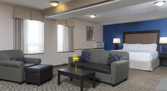 Двухместный люкс Holiday Inn Chicago - Elk Grove