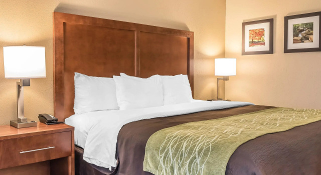 Двухместный номер Standard Comfort Inn & Suites Piqua-Near Troy-I75