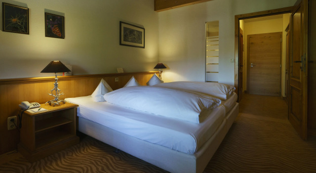 Номер Standard Parkhotel am Soier See