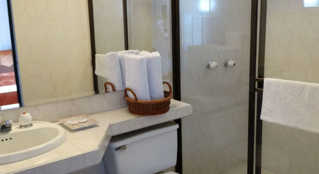 Двухместный номер Superior Hotel Hospederia San Carlos Villa De Leyva