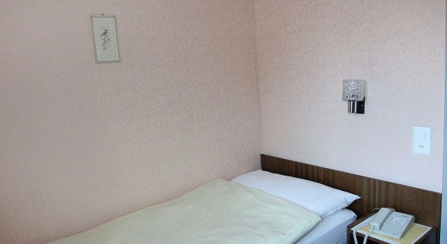 Номер Standard Hotel Alfa Zermatt