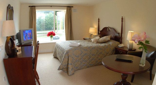 Одноместный номер Standard The Abbeyleix Manor Hotel