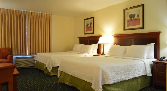 Двухместная студия TownePlace Suites Stafford