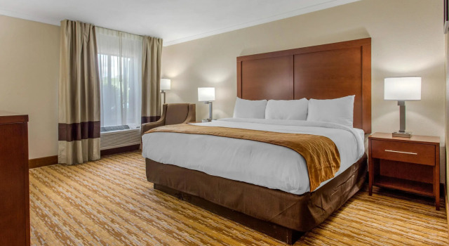 Двухместный номер Standard Comfort Inn Asheville East-Blue Ridge Pkwy Access