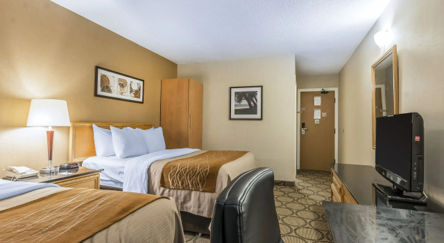 Четырёхместный номер Standard Comfort Inn Belleville