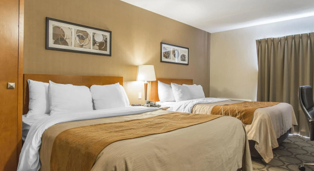 Четырёхместный номер Standard Comfort Inn Timmins