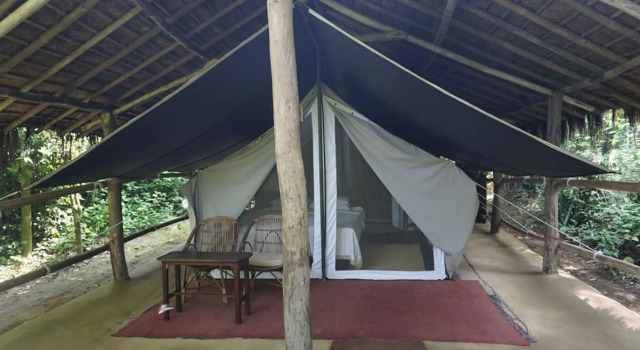Тент Tiger Tops Tharu Lodge
